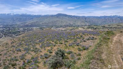 0 Lot 1 Burch Mountain Road , Wenatchee, WA 98801 - Photo 20