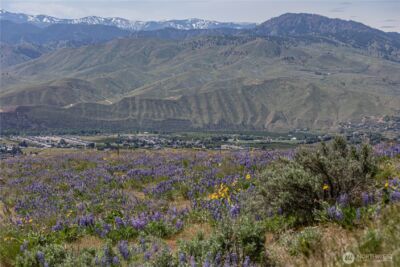 0 Lot 1 Burch Mountain Road , Wenatchee, WA 98801 - Photo 24