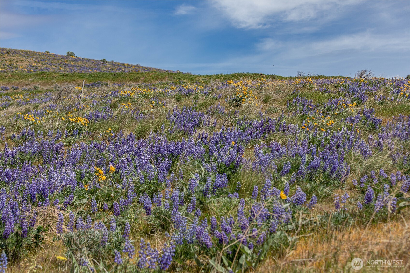 0 Lot 1 Burch Mountain Road , Wenatchee, WA 98801