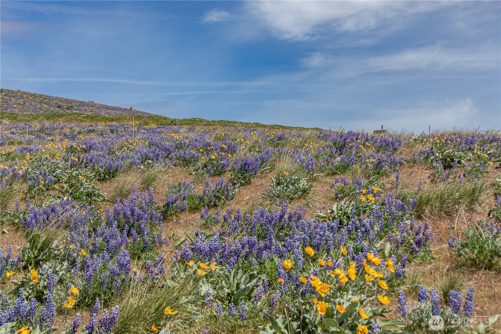 0 Lot 1 Burch Mountain Road , Wenatchee, WA 98801