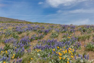 0 Lot 1 Burch Mountain Road , Wenatchee, WA 98801 - Photo 29