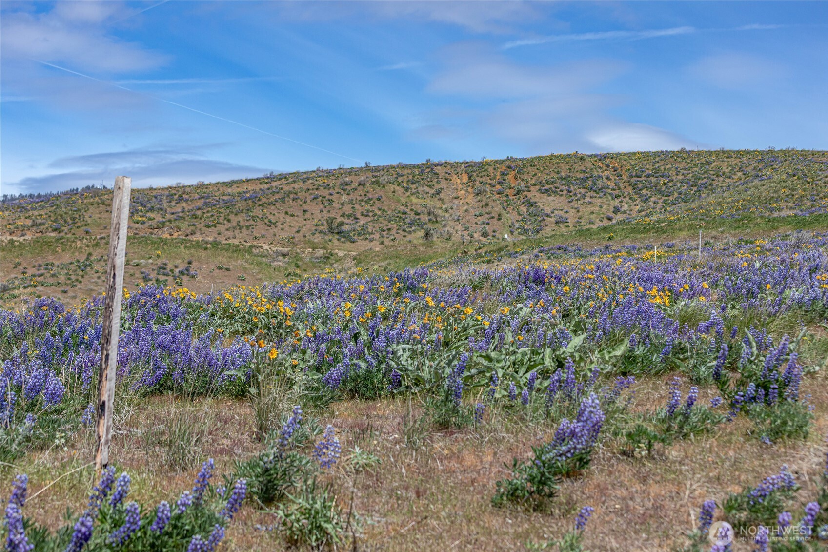 0 Lot 1 Burch Mountain Road , Wenatchee, WA 98801