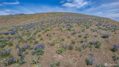 0 Lot 1 Burch Mountain Road , Wenatchee, WA 98801 - Photo 8