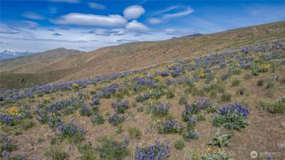 0 Lot 1 Burch Mountain Road , Wenatchee, WA 98801 - Photo 9