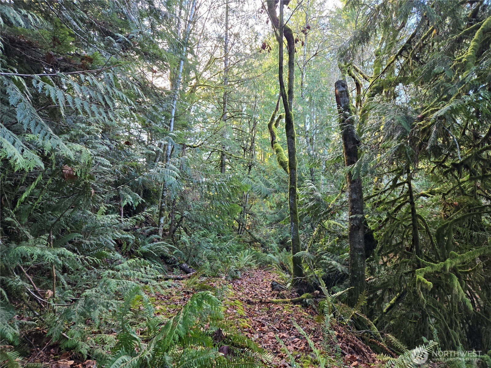 2 xxx Sand Dollar Road W, Bremerton, WA 98312-5600