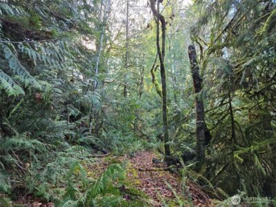 2 xxx Sand Dollar Road W, Bremerton, WA 98312-5600 - Photo 12