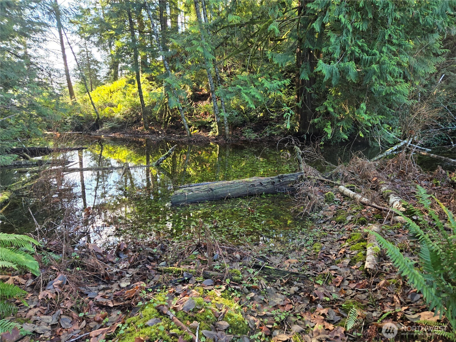 2 xxx Sand Dollar Road W, Bremerton, WA 98312-5600