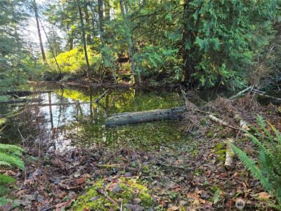 2 xxx Sand Dollar Road W, Bremerton, WA 98312-5600 - Photo 13