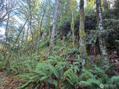 2 xxx Sand Dollar Road W, Bremerton, WA 98312-5600 - Photo 15