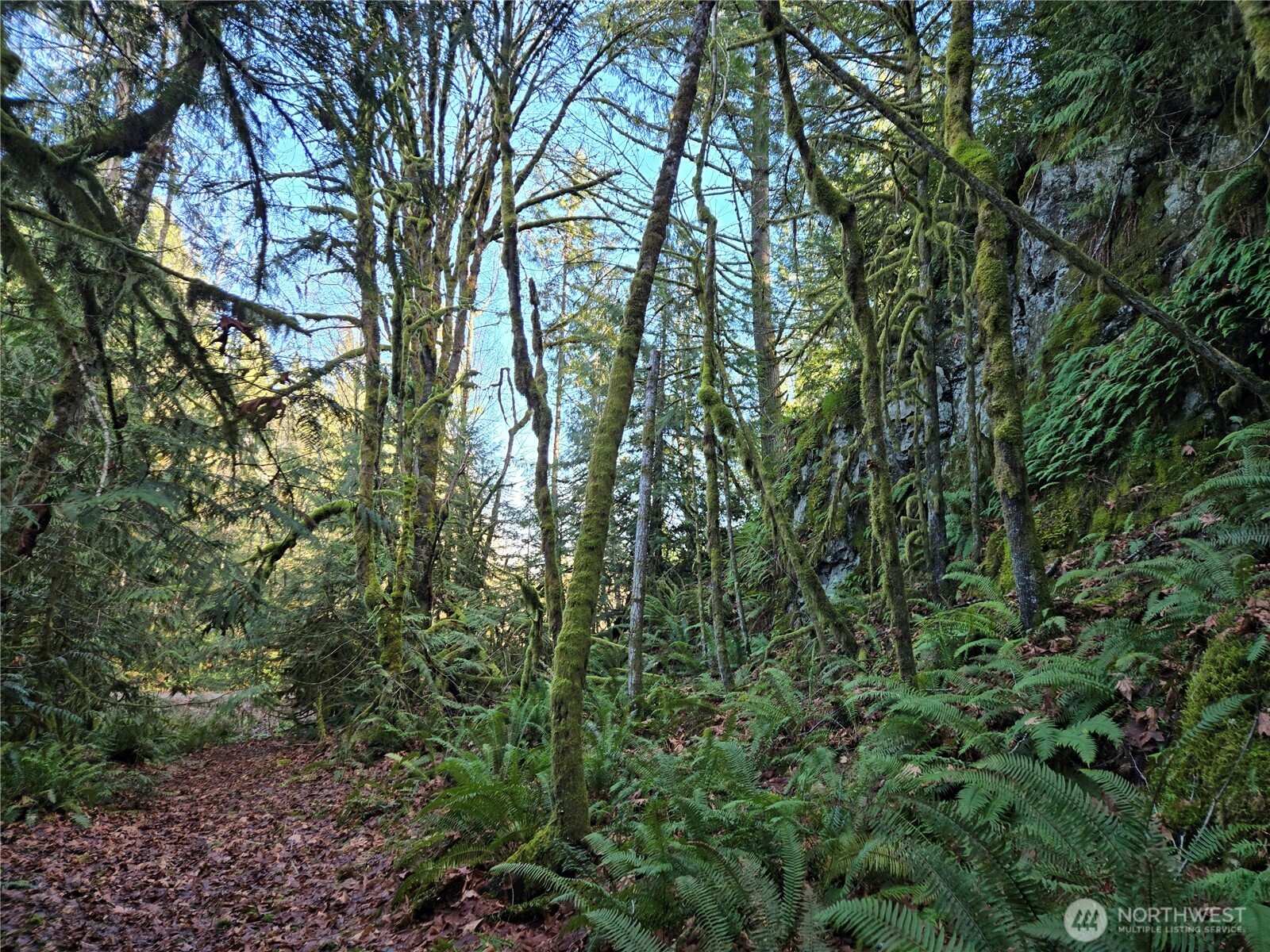 2 xxx Sand Dollar Road W, Bremerton, WA 98312-5600