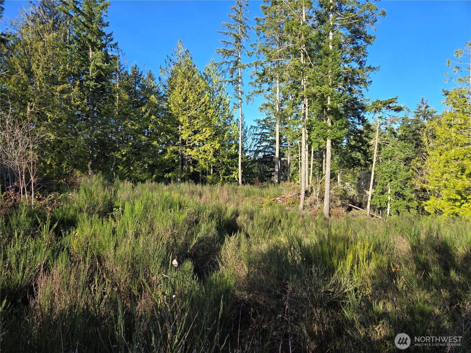 2 xxx Sand Dollar Road W, Bremerton, WA 98312-5600