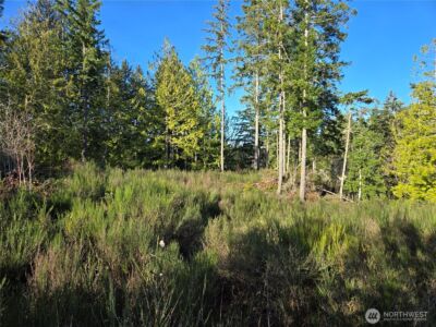 2 xxx Sand Dollar Road W, Bremerton, WA 98312-5600 - Photo 18