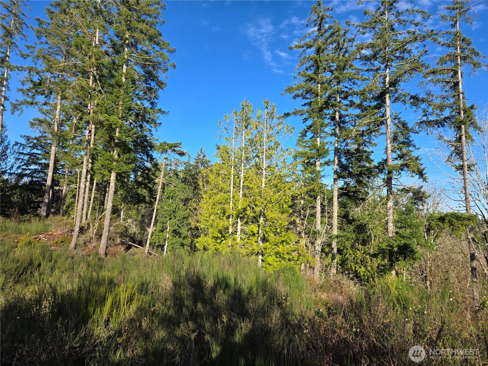 2 xxx Sand Dollar Road W, Bremerton, WA 98312-5600