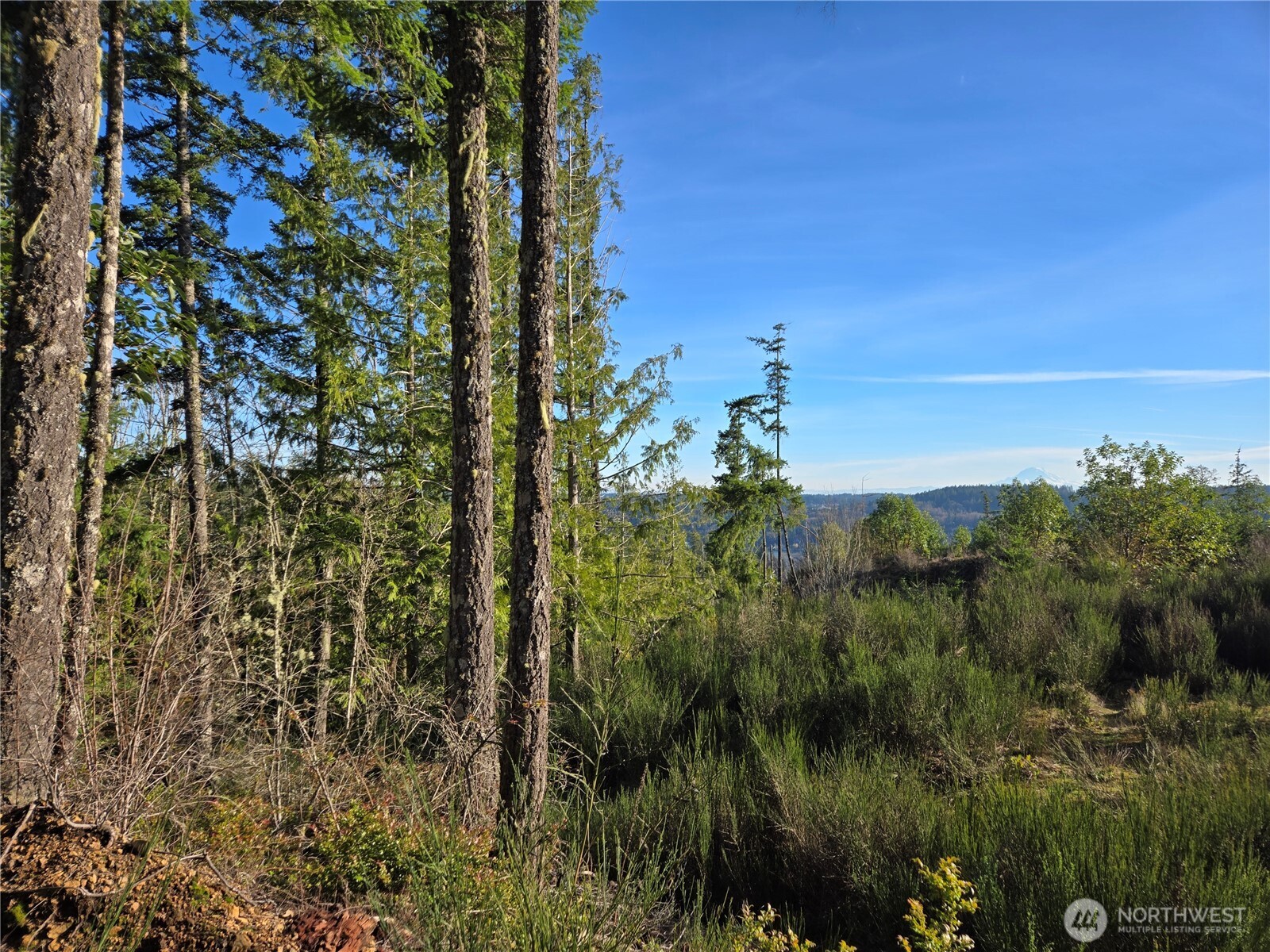 2 xxx Sand Dollar Road W, Bremerton, WA 98312-5600