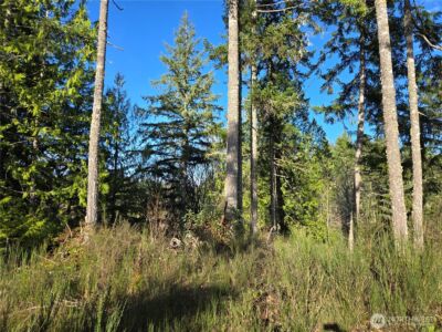 2 xxx Sand Dollar Road W, Bremerton, WA 98312-5600 - Photo 23