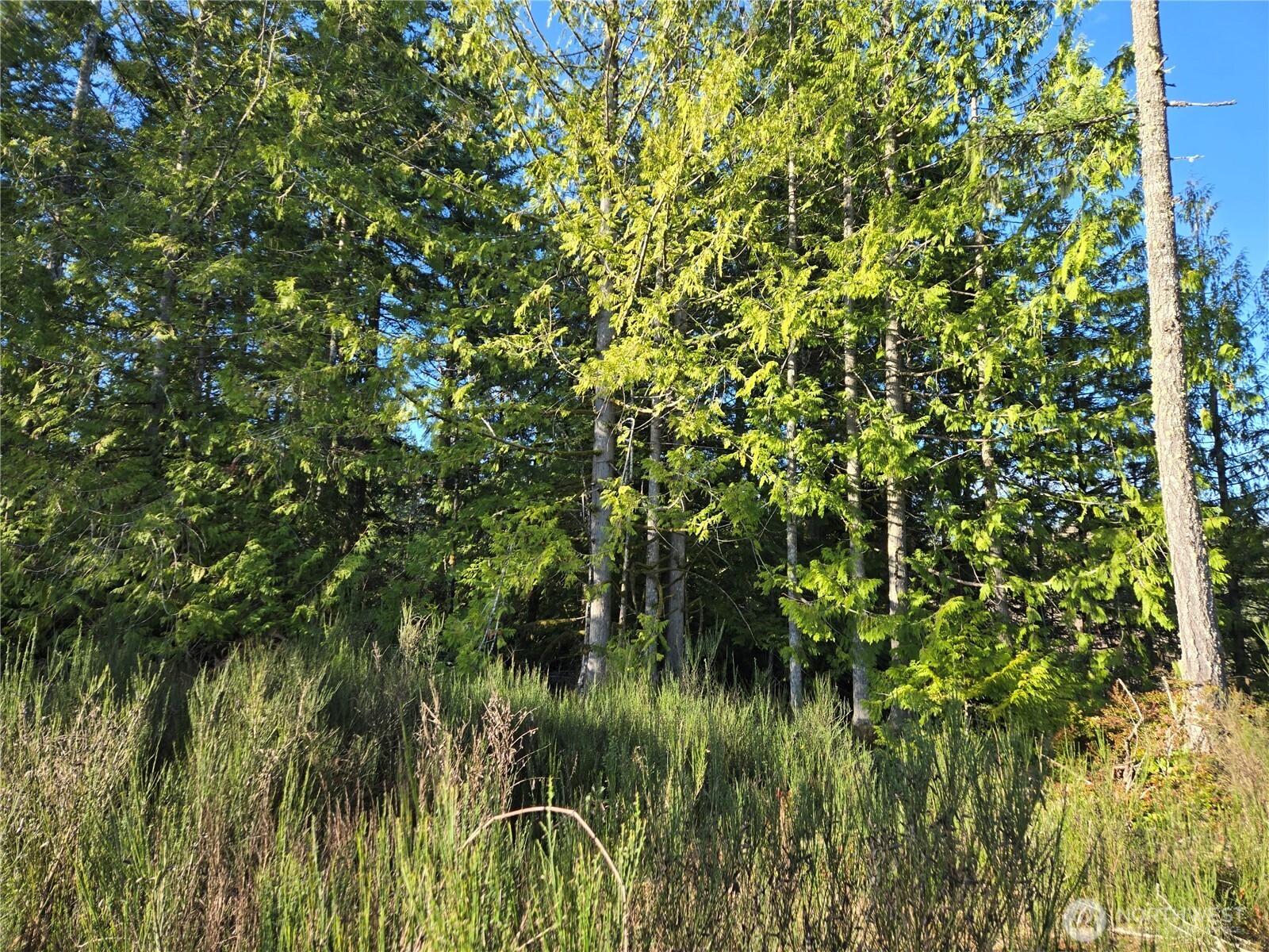 2 xxx Sand Dollar Road W, Bremerton, WA 98312-5600