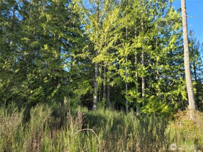 2 xxx Sand Dollar Road W, Bremerton, WA 98312-5600 - Photo 24