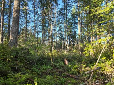 2 xxx Sand Dollar Road W, Bremerton, WA 98312-5600 - Photo 26