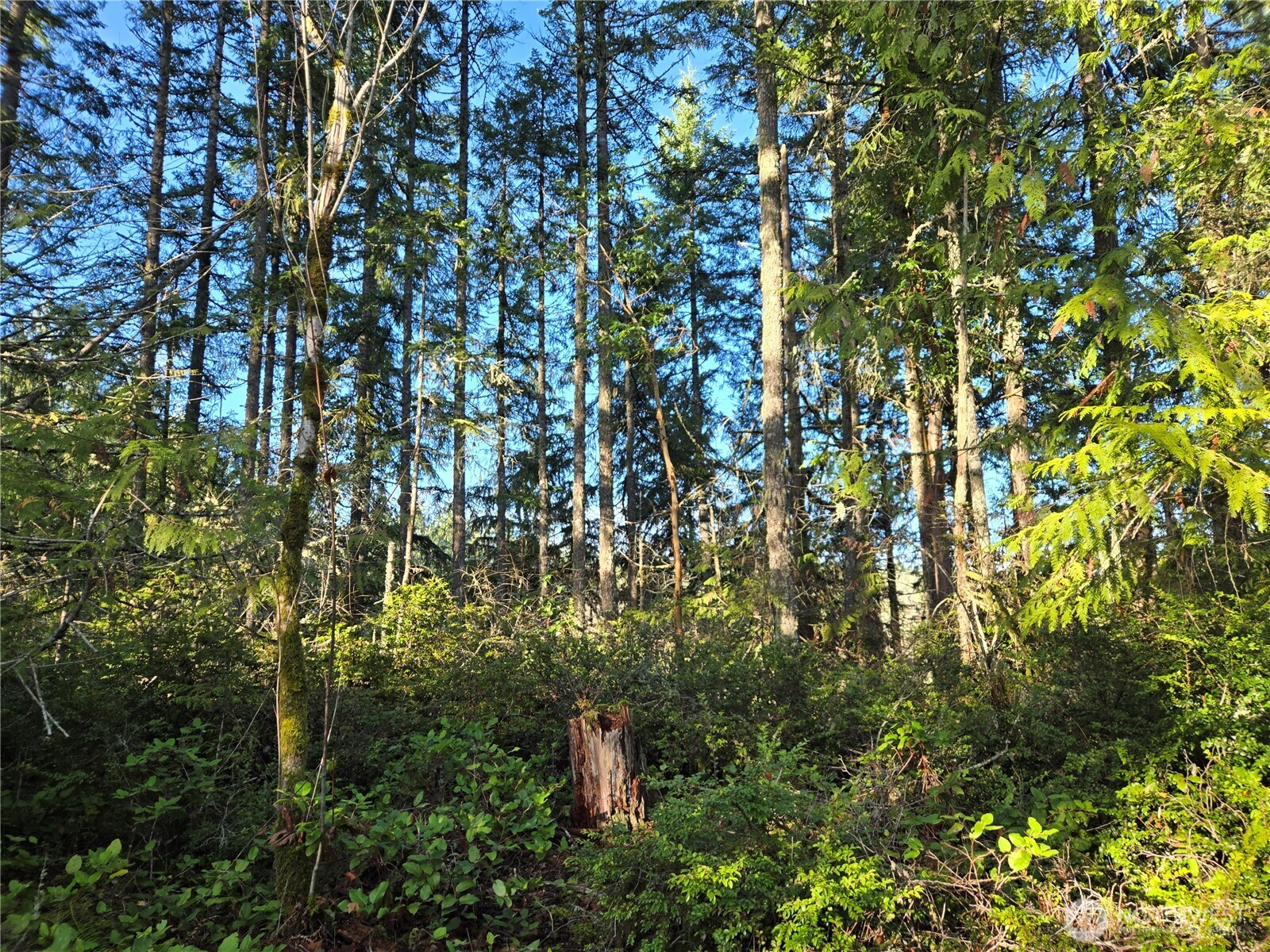 2 xxx Sand Dollar Road W, Bremerton, WA 98312-5600