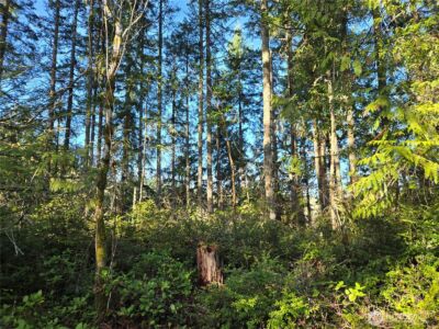 2 xxx Sand Dollar Road W, Bremerton, WA 98312-5600 - Photo 28