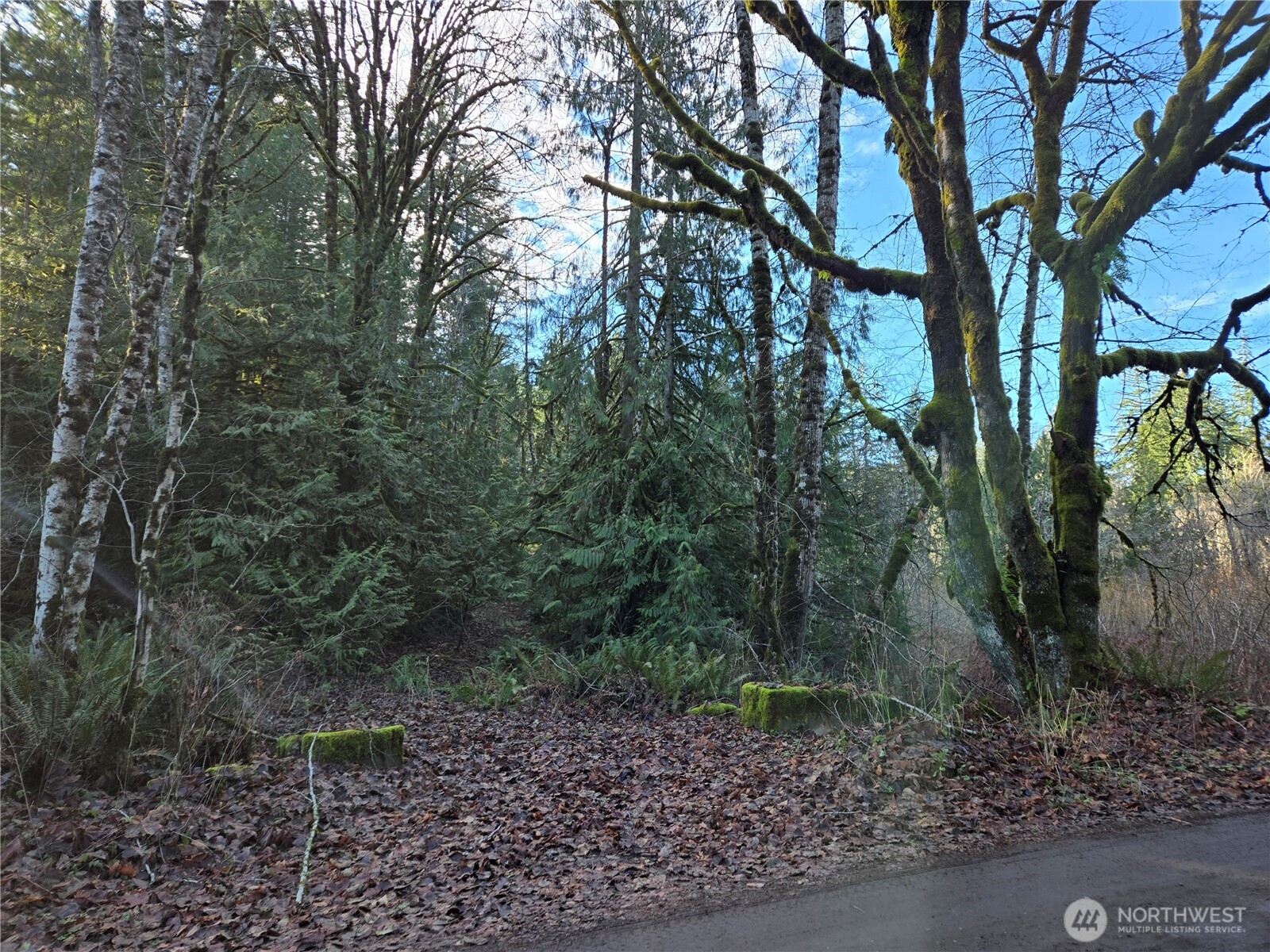 2 xxx Sand Dollar Road W, Bremerton, WA 98312-5600