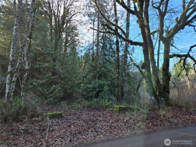 2 xxx Sand Dollar Road W, Bremerton, WA 98312-5600 - Photo 10