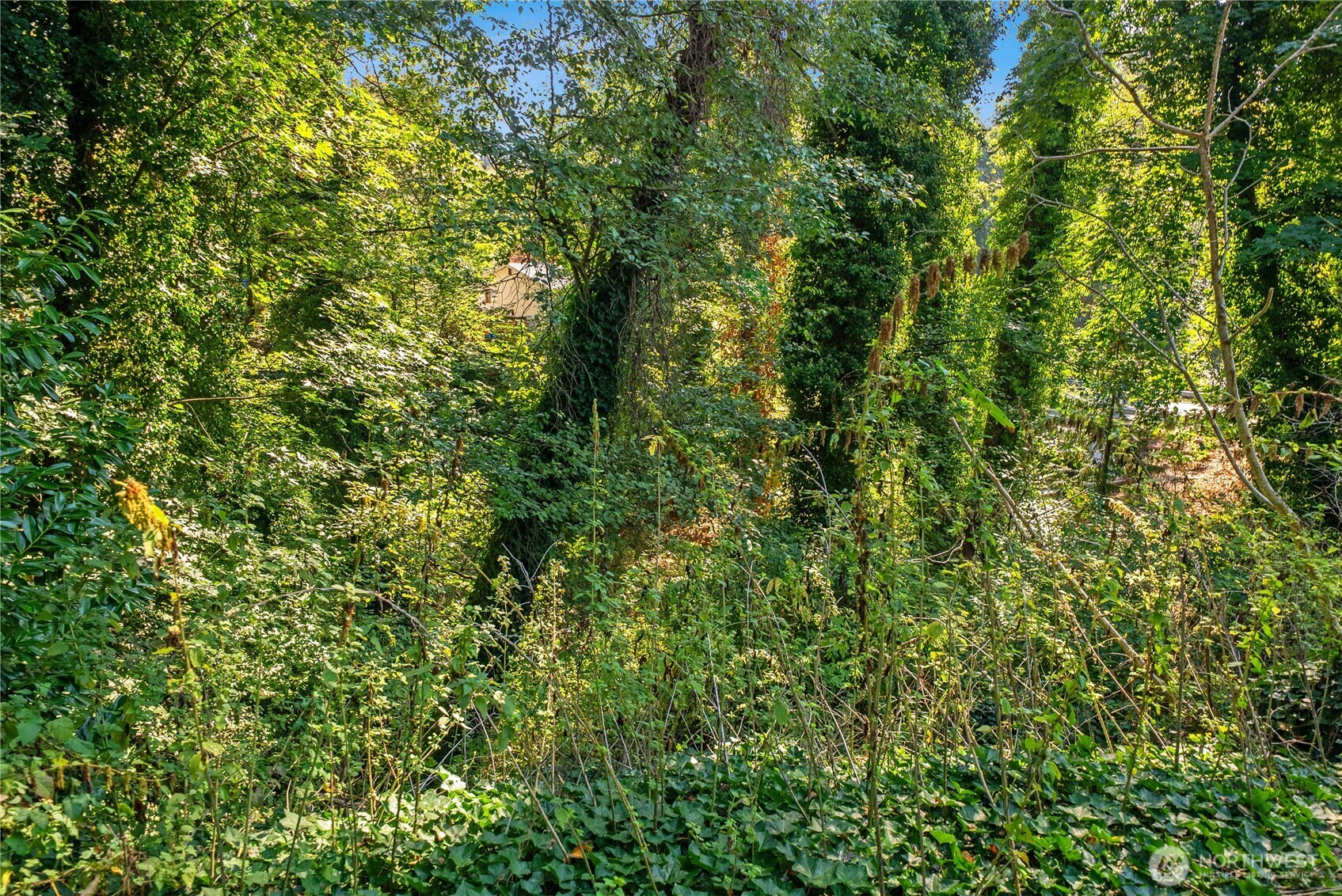 1251 S 230th Street , Des Moines, WA 98198