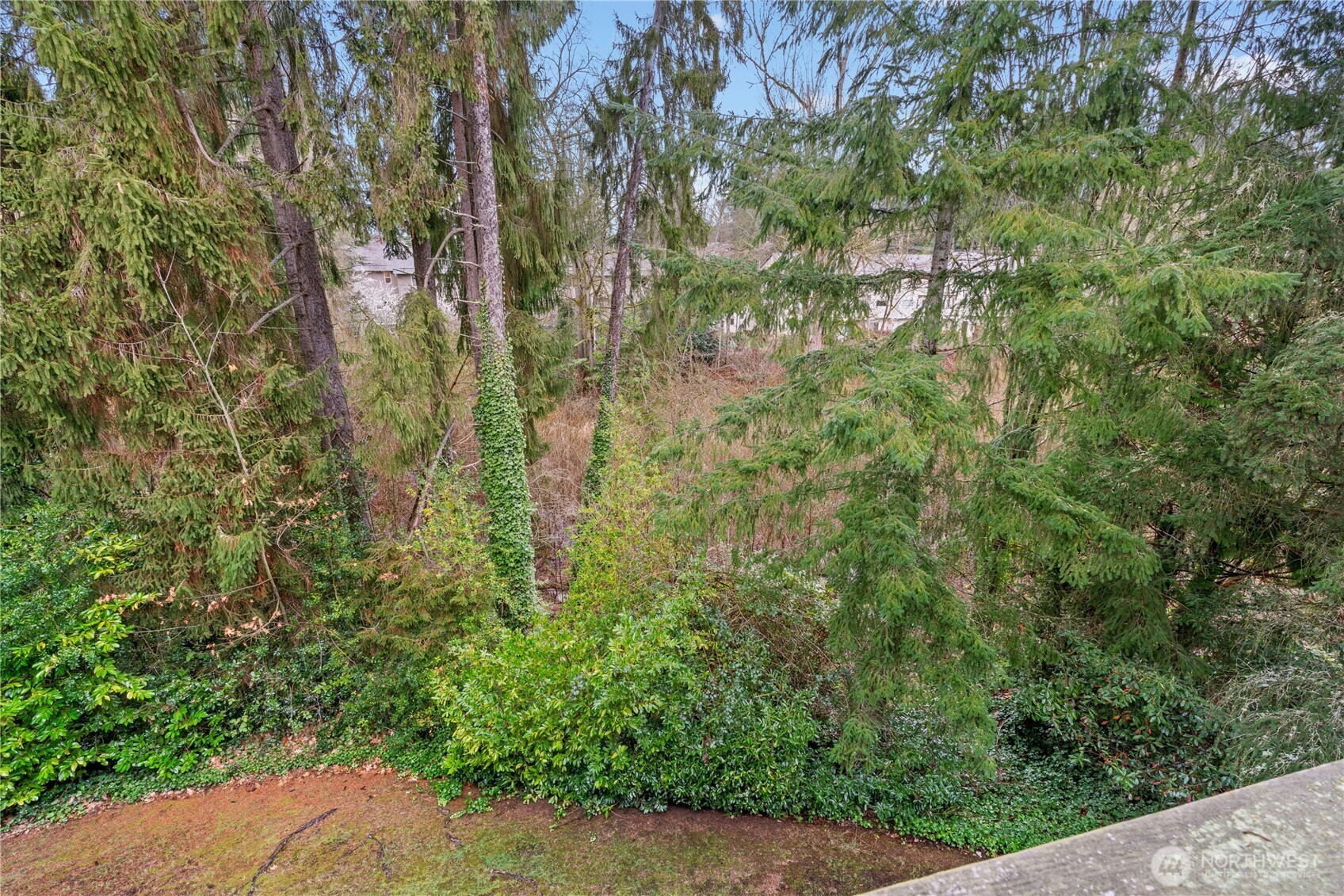 9904 NE 142nd Place #C302, Kirkland, WA 98034