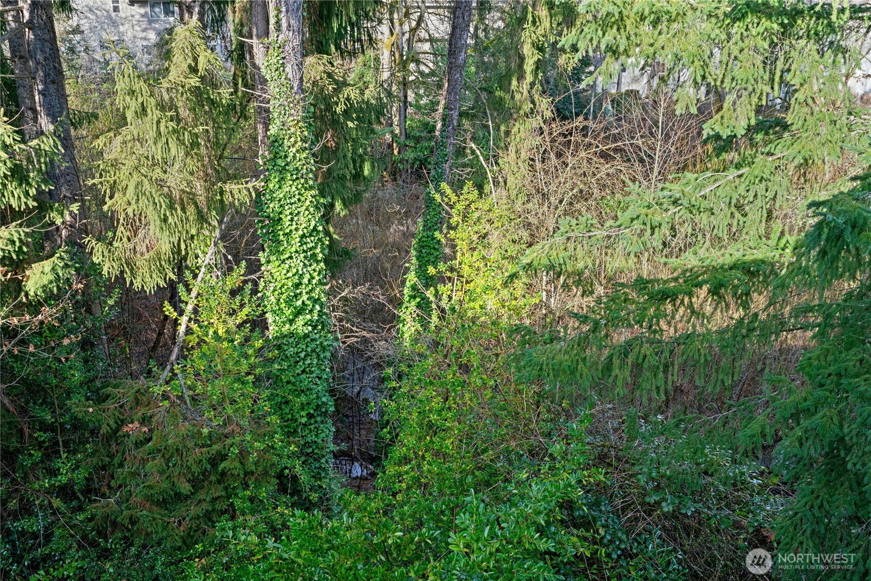 9904 NE 142nd Place #C302, Kirkland, WA 98034