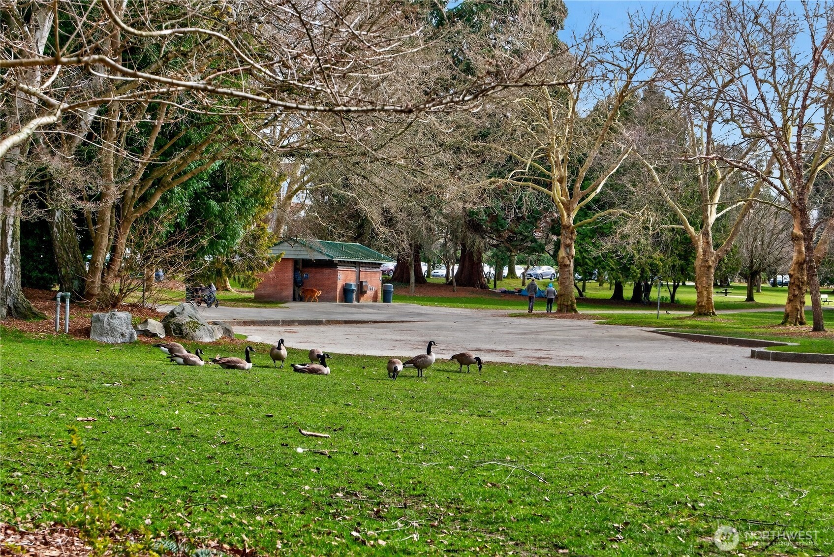 7870 Green Lake Drive N #10, Seattle, WA 98103