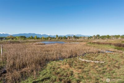 381 3 Crabs Road , Sequim, WA 98382 - Photo 36