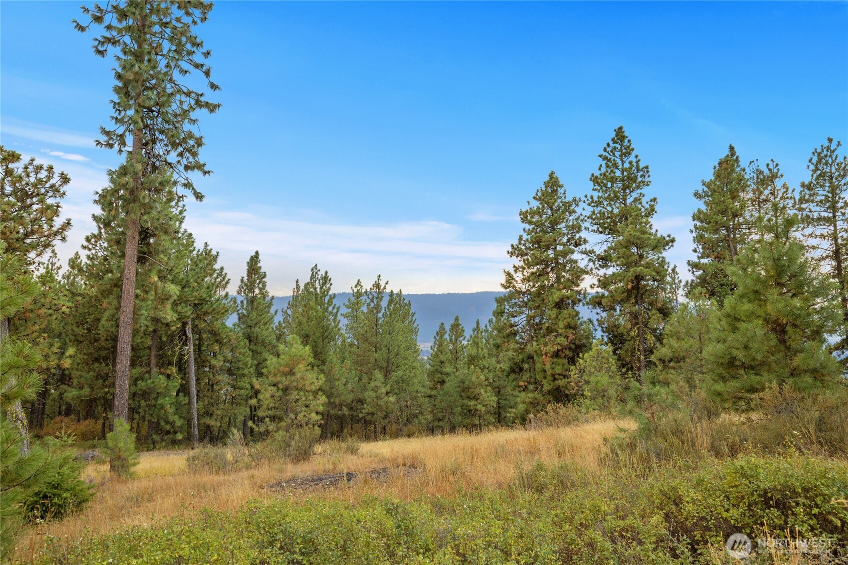0 Owl Ridge Dr , Cle Elum, WA 98922