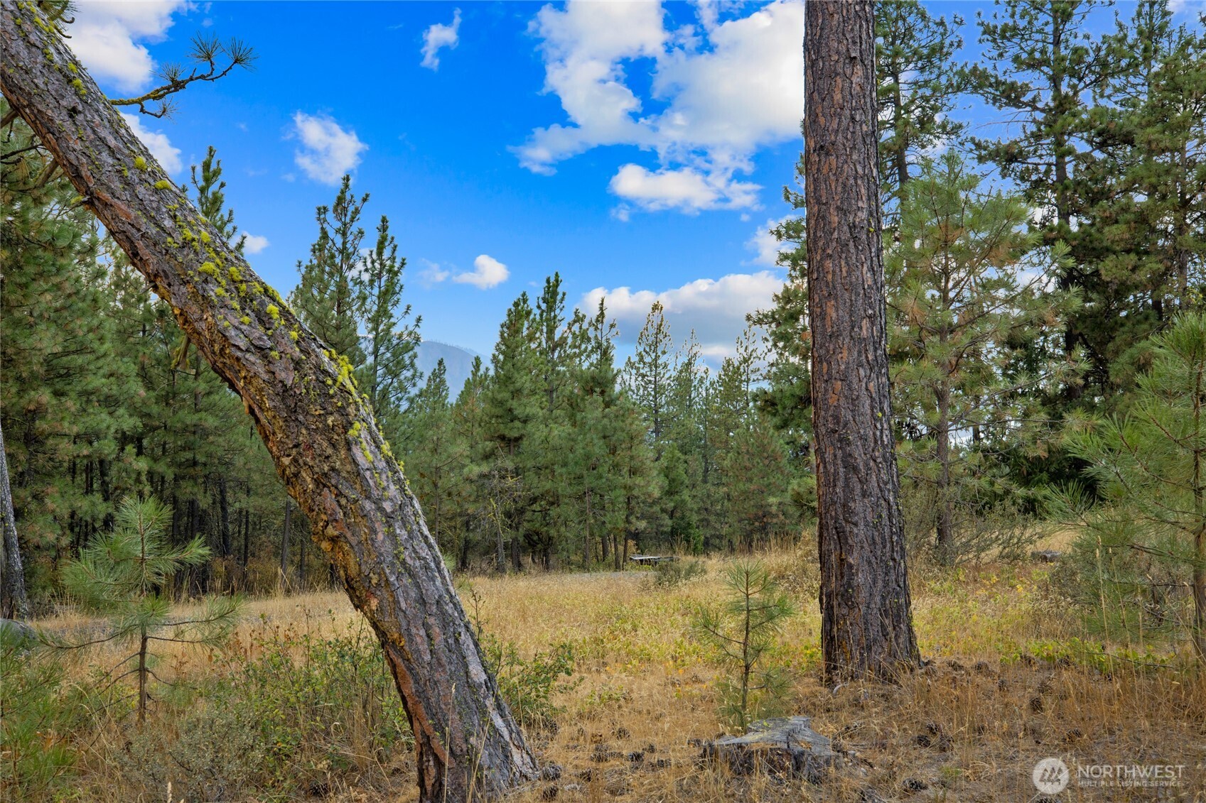 0 Owl Ridge Dr , Cle Elum, WA 98922