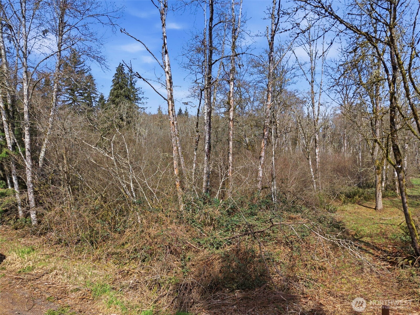 0 XXX Viewridge Road , Onalaska, WA 98570