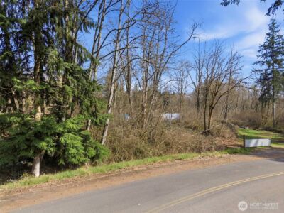 0 XXX Viewridge Road , Onalaska, WA 98570 - Photo 12