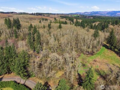 0 XXX Viewridge Road , Onalaska, WA 98570 - Photo 8