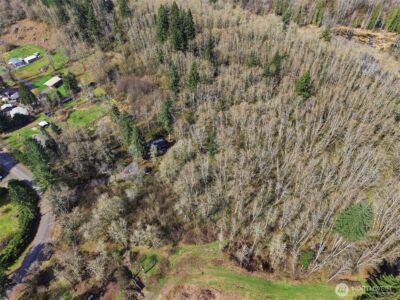 0 XXX Viewridge Road , Onalaska, WA 98570 - Photo 9