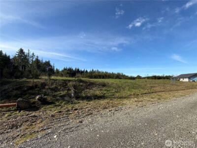 1 Parcel E Johnson Ridge Road , Belfair, WA 98528 - Photo 3