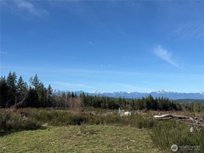 1 Parcel E Johnson Ridge Road , Belfair, WA 98528 - Photo 4
