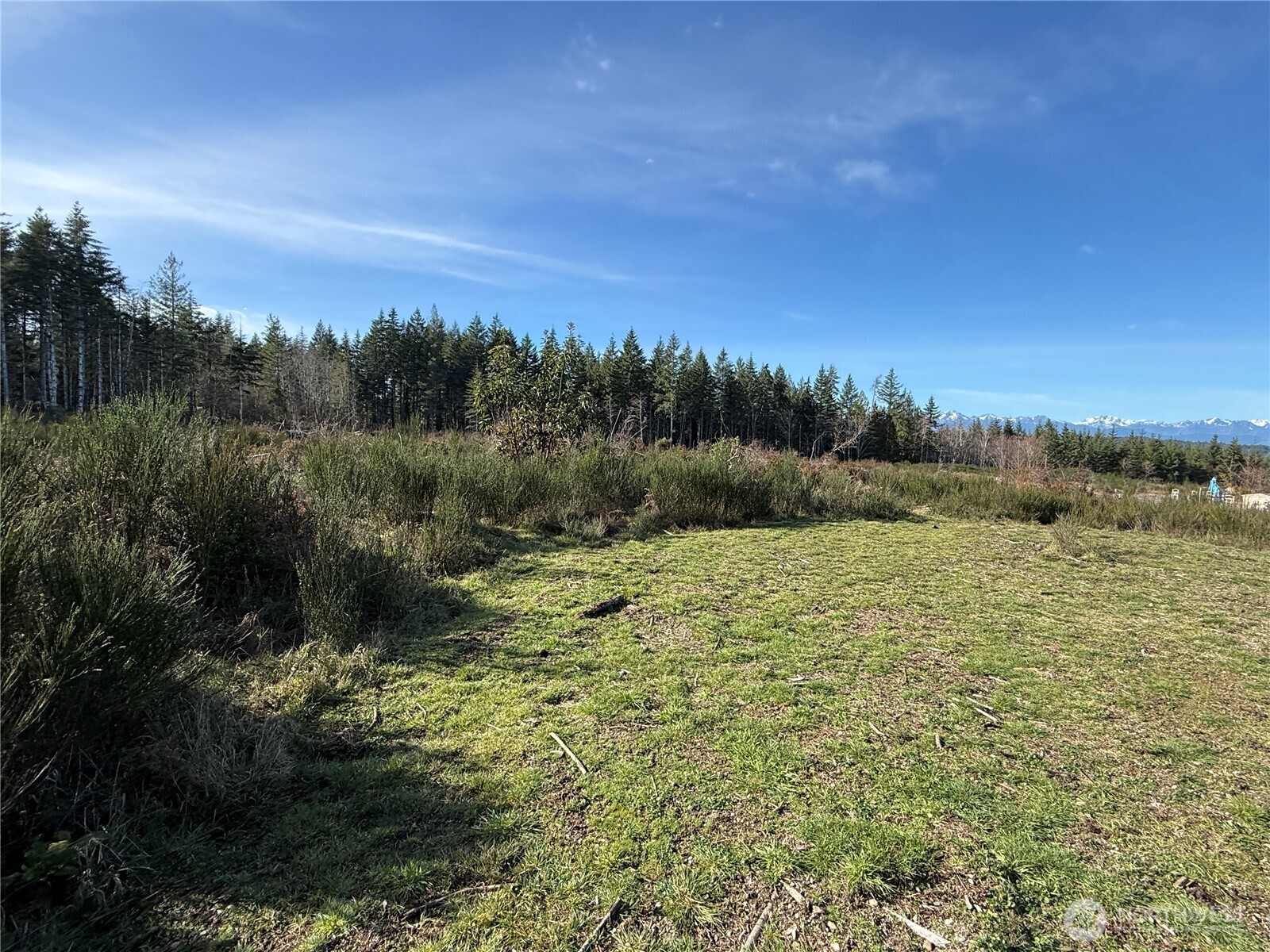 1 Parcel E Johnson Ridge Road , Belfair, WA 98528