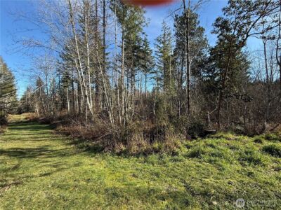 7 Parcel E Johnson Ridge Road , Belfair, WA 98528 - Photo 2