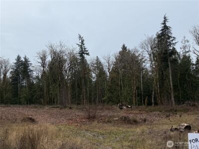 10 Track RimStone Loop , Belfair, WA 98528 - Photo 1