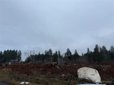 3 Track RimStone Loop , Belfair, WA 98528 - Photo 4