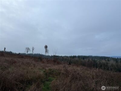 6 Track RimStone Loop , Belfair, WA 98528 - Photo 3