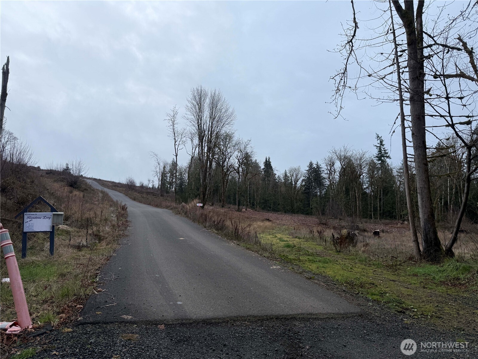 6 Track RimStone Loop , Belfair, WA 98528