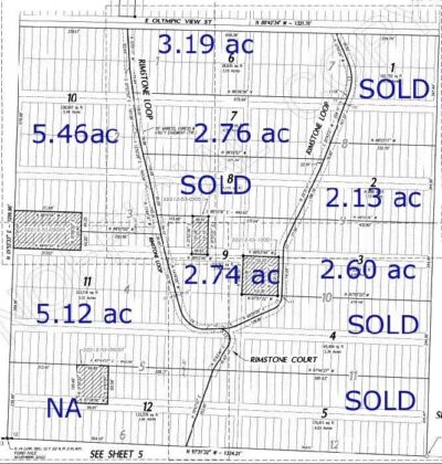6 Track RimStone Loop , Belfair, WA 98528 - Photo 7