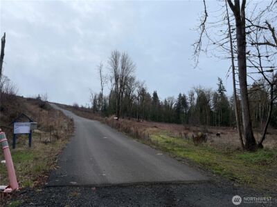 2 Track RimStone Loop , Belfair, WA 98528 - Photo 4