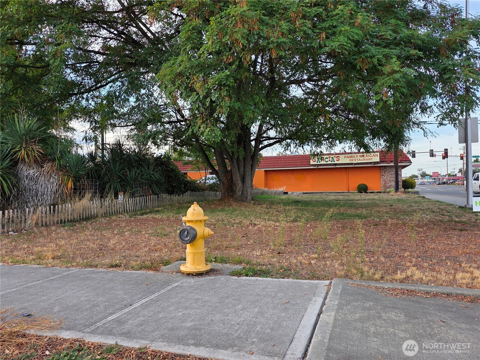 223 3rd Street NE, Auburn, WA 98002