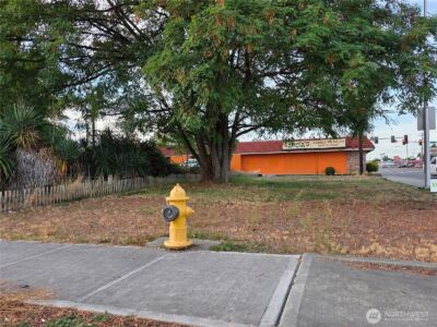 223 3rd Street NE, Auburn, WA 98002