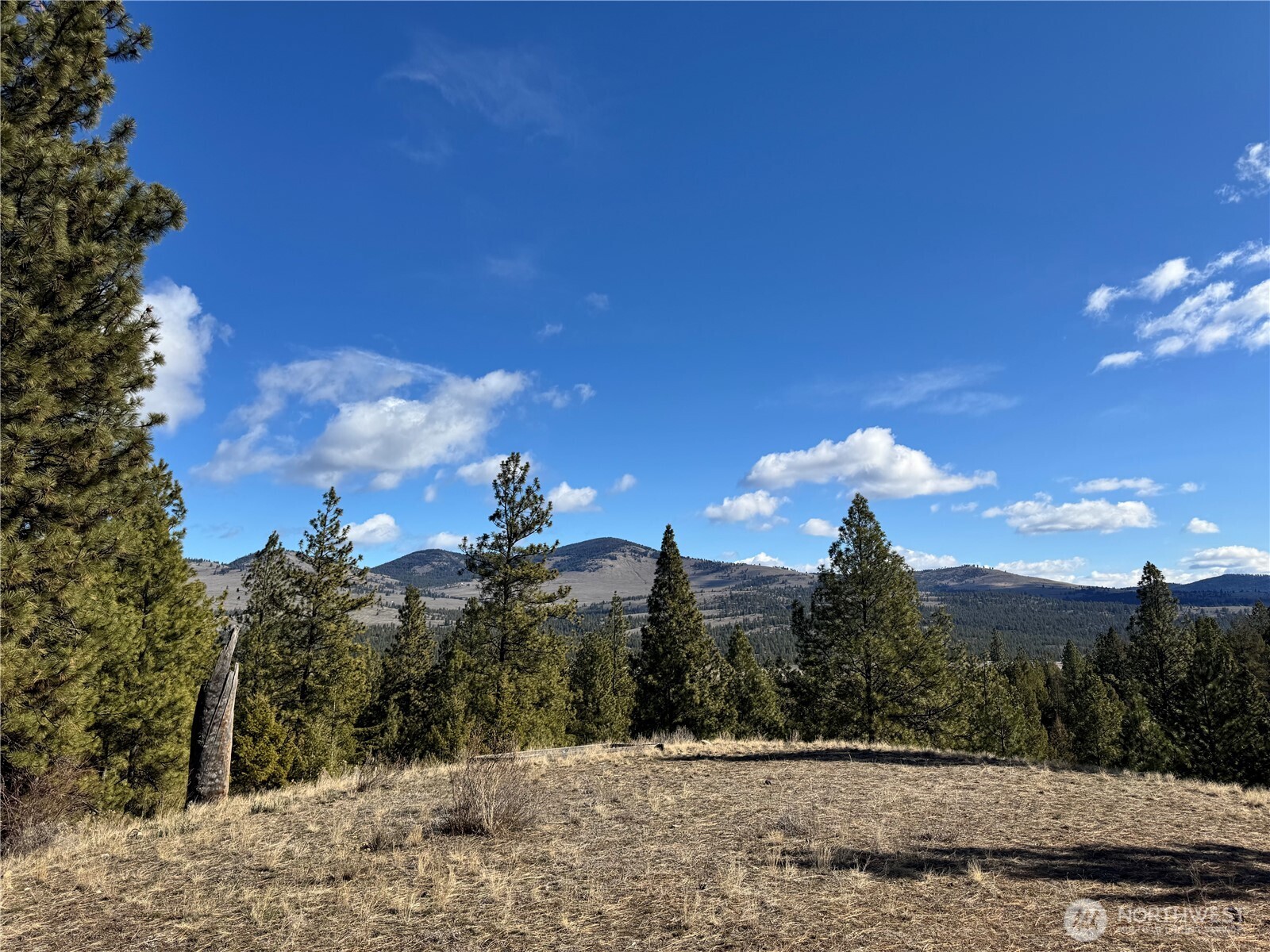 79 Bench Creek Road , Tonasket, WA 98855